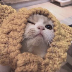 以太坊钱包苹果版